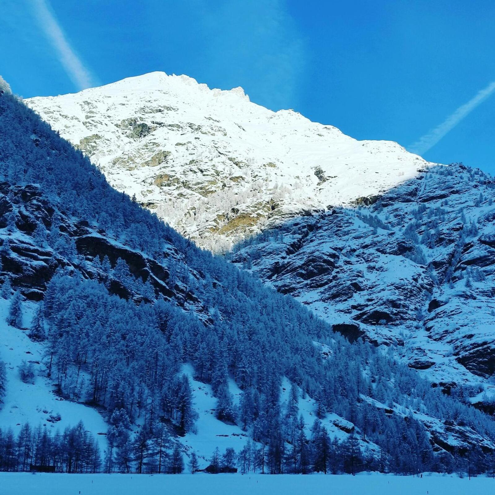 Monte Rosa Taesch, Apartments Mit Wellness Bereich Exteriér fotografie